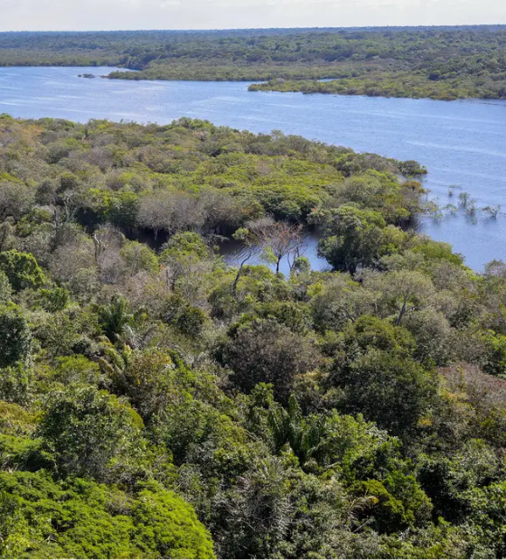 Conflito por território é principal gerador de violência na Amazônia