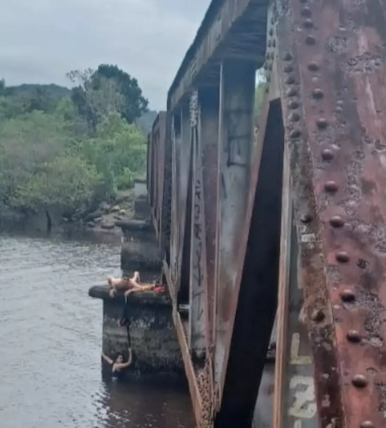 Mulher cai de ponte ao tirar foto e se segura em cadarço até ser resgatada por bombeiro