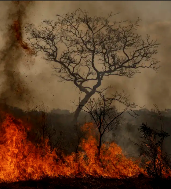  Desastres climáticos aumentaram 250% nos últimos quatro anos no país 