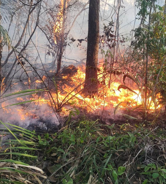  Temperatura da Terra supera novo recorde e gera alerta sobre rapidez da crise climática