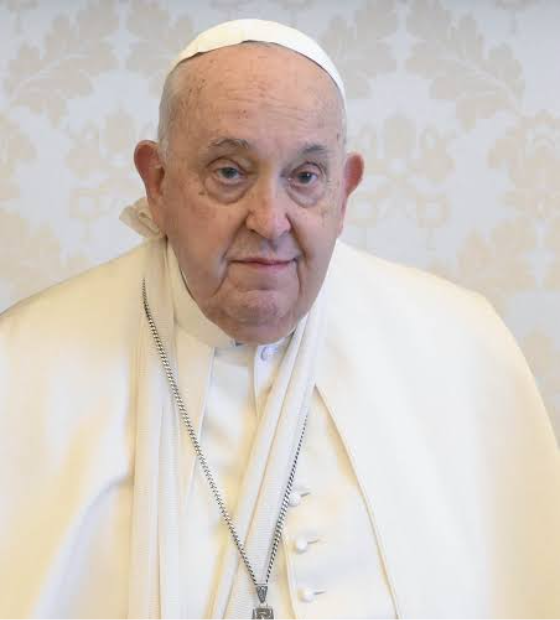 Papa Francisco sofre queda e machuca o antebraço direito