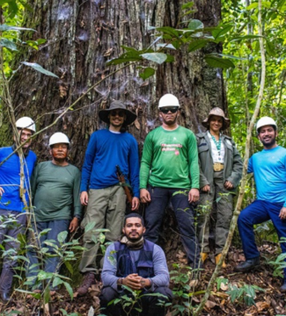 Parceria entre Ufopa e ICMbio amplia mapeamento de castanhais no Pará