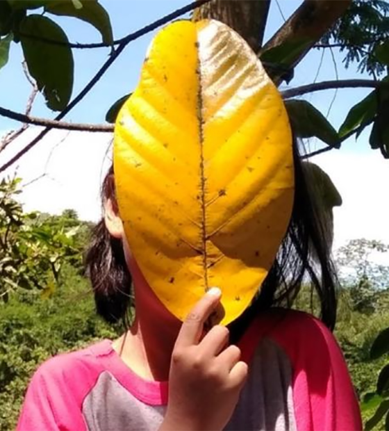Pará ocupa a quarta posição em casos de violência sexual contra crianças e adolescentes