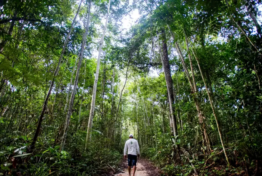 Cooperativa neutraliza 27 mil toneladas de carbono em ação de sustentabilidade