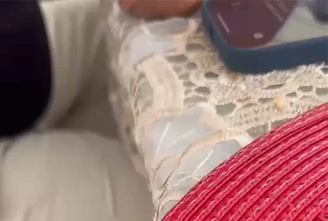 Os sete mil hectares do silêncio; ou um encontro em certa casa de fazenda