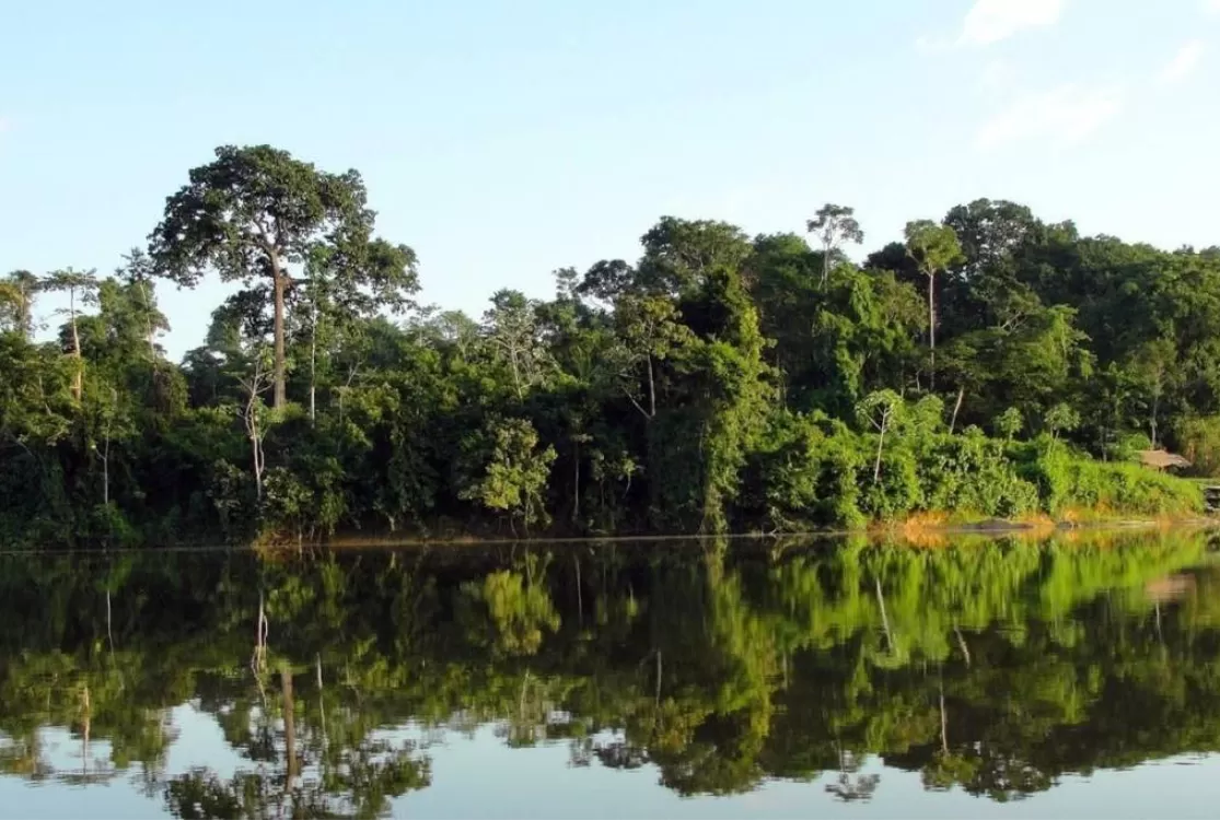 Fundo Amazônia aplica R$ 80 milhões para produção agrícola comunitária