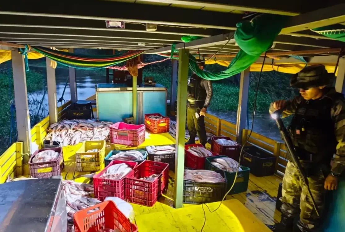 Polícia intercepta 5 toneladas de mapará durante período de defeso em Óbidos