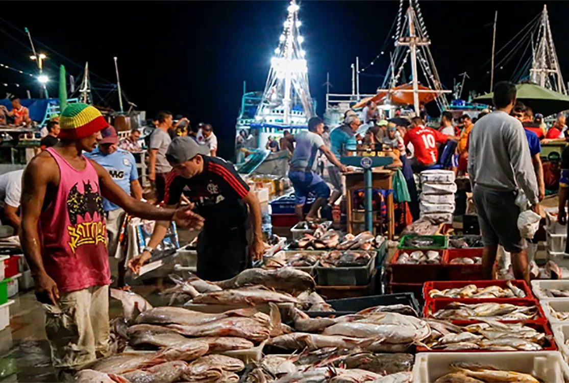 Novo estudo aponta risco elevado em consumo de peixe por população ribeirinha