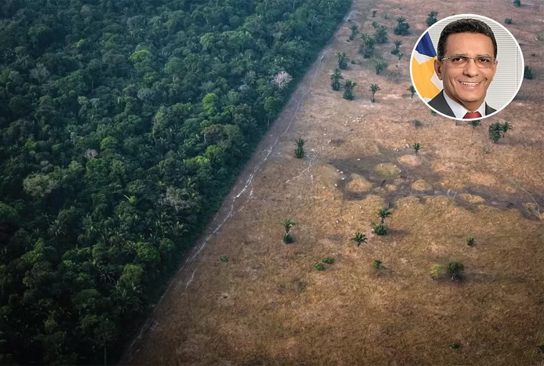 Projeto corta reserva na Amazônia e mexe na economia, mas não apaga incêndios