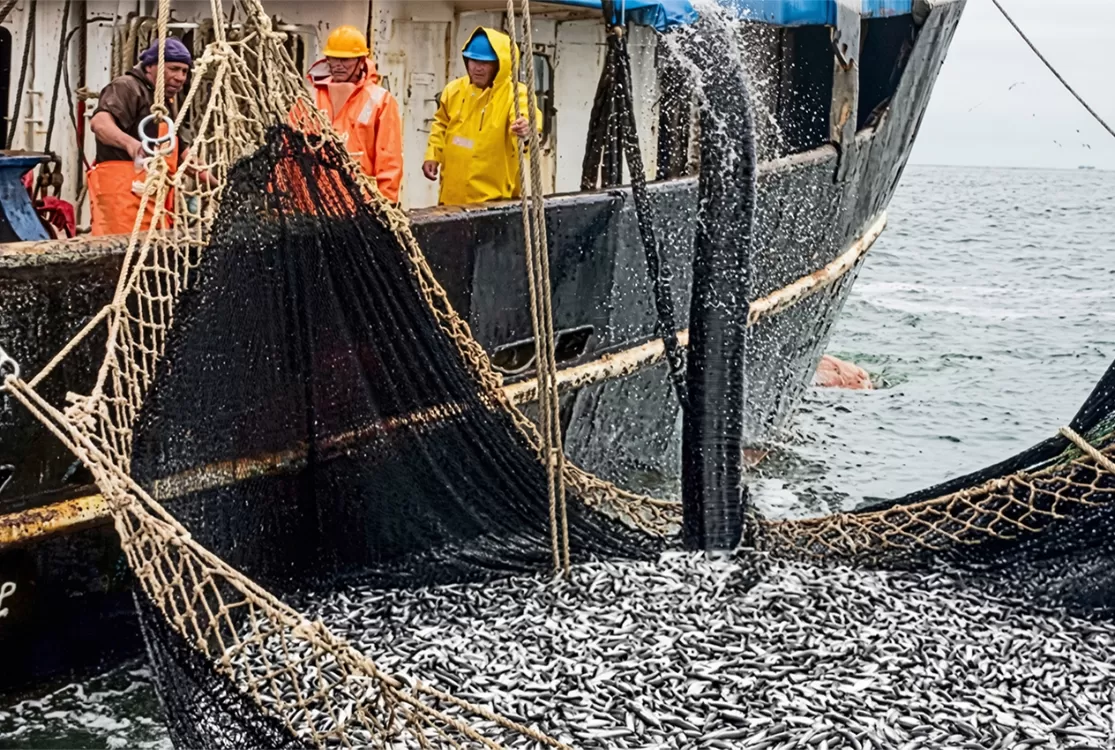 Denúncias apontam fraude, risco à saúde e suposta omissão de fiscalização no Pará