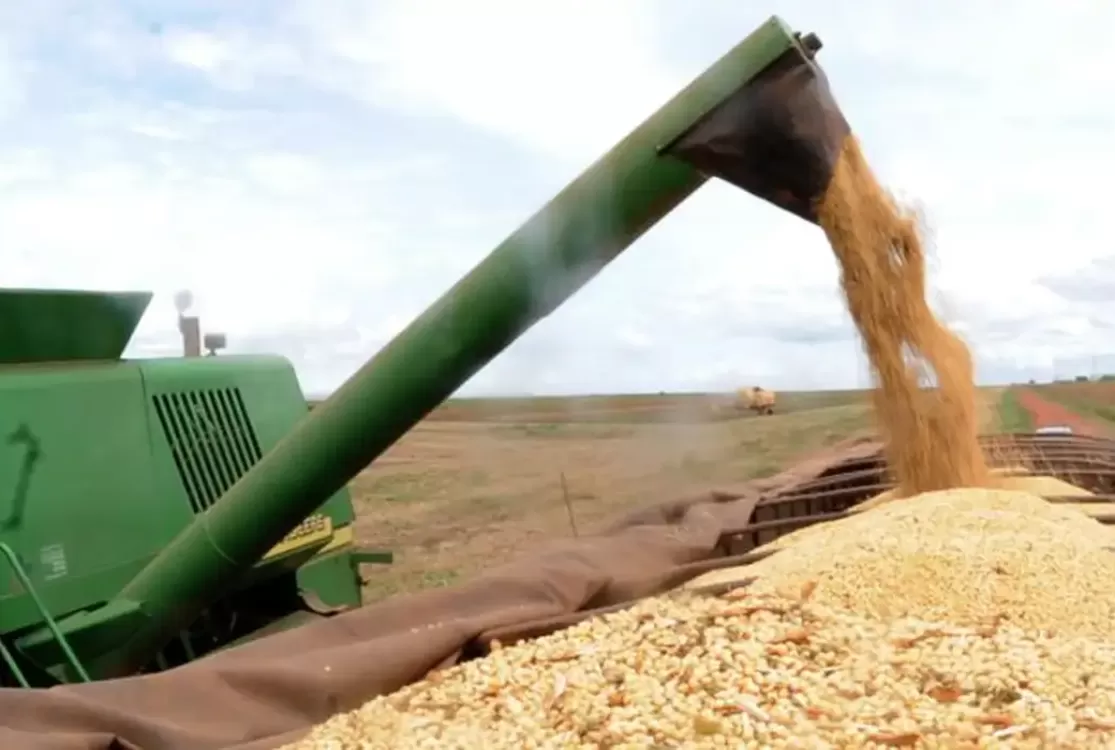 Juros abusivos e asfixia ideológica empurram agro brasileiro para dependência da China