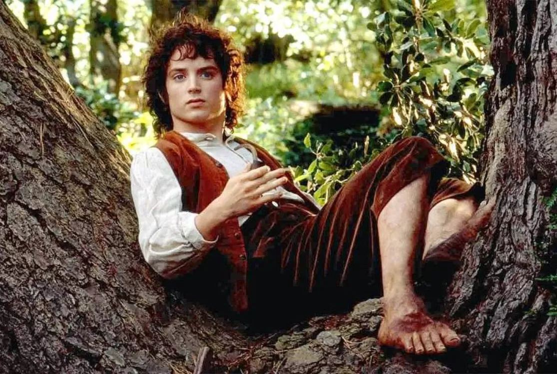 Elijah Wood, o “Frodo”, de Senhor dos Anéis, confirma presença na CCXP do Brasil