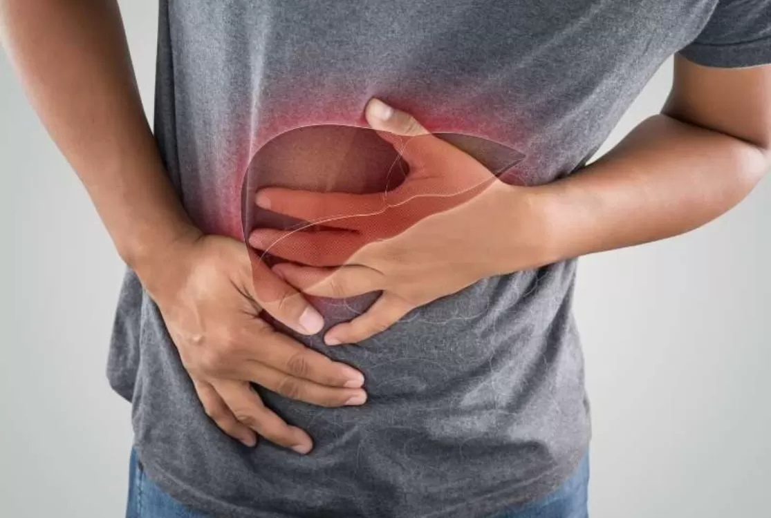 Estudo lista os melhores e os piores hábitos para um fígado saudável