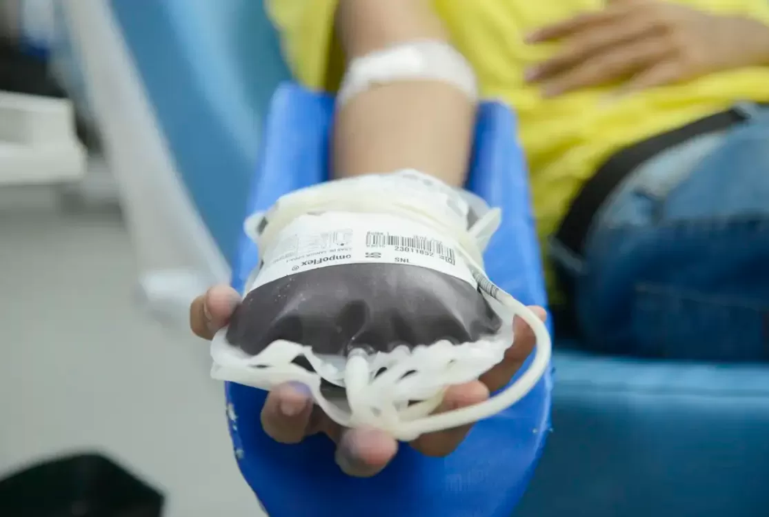 Doação de sangue: novas regras diminuem espera de tatuados e altera idade máxima